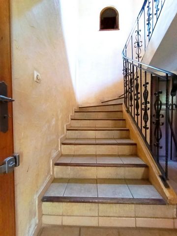 photo no. 13