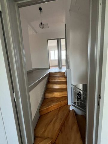photo no. 19