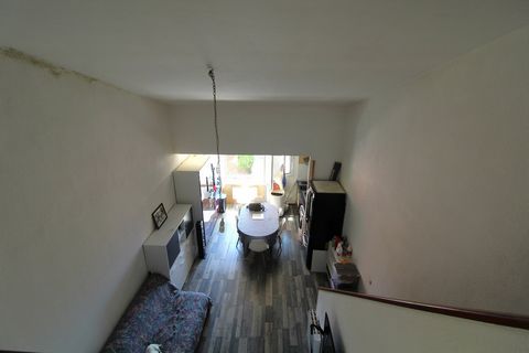 photo no. 4