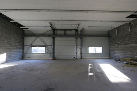 Locaux d'activité Douvres la Délivrande 239 m2