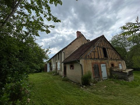 photo no. 1