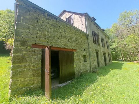 photo no. 16