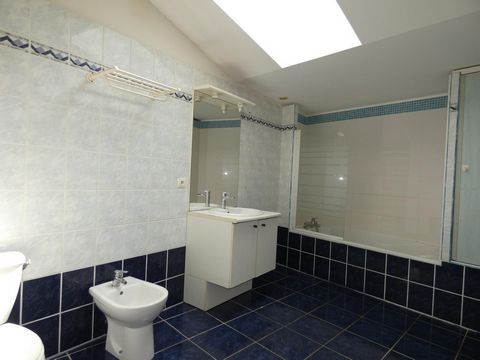 photo no. 6