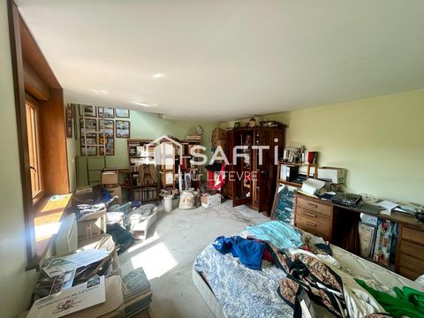 photo no. 10