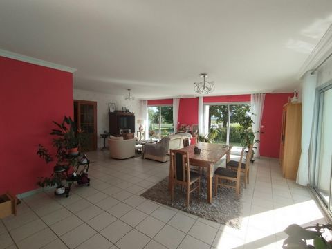 photo no. 9