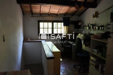 photo no. 9