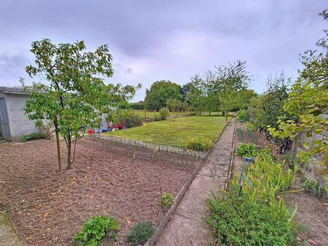 photo no. 9