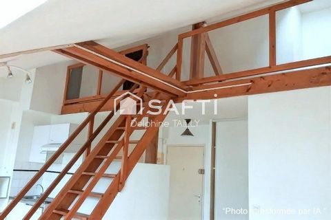 photo no. 1