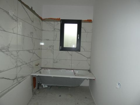 photo no. 10