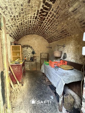 photo no. 10