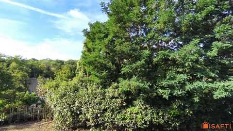 photo no. 19