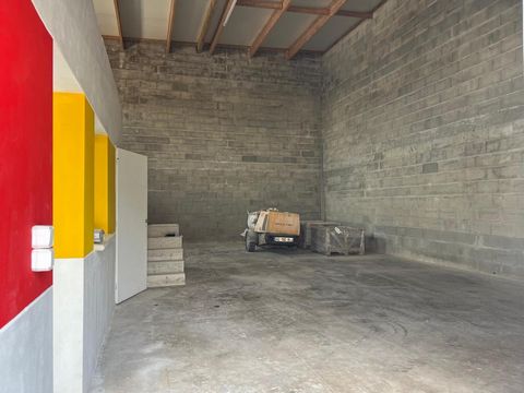 photo no. 2