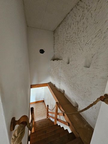 photo no. 9