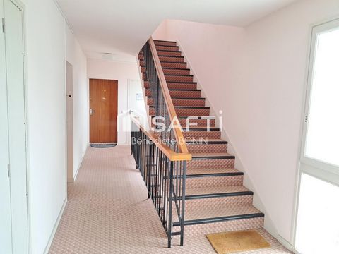 photo no. 8