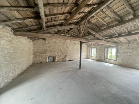 photo no. 15