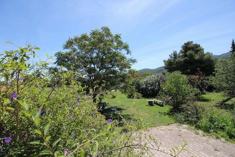 photo no. 13