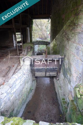 photo no. 2