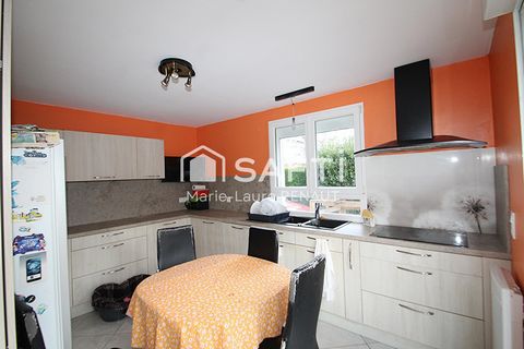 photo no. 9