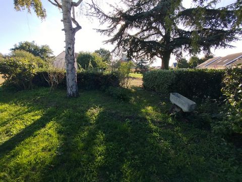 photo no. 9