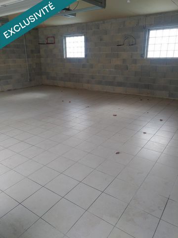 photo no. 17