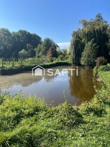 Terrain de loisirs avec étang