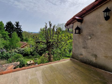 photo no. 17