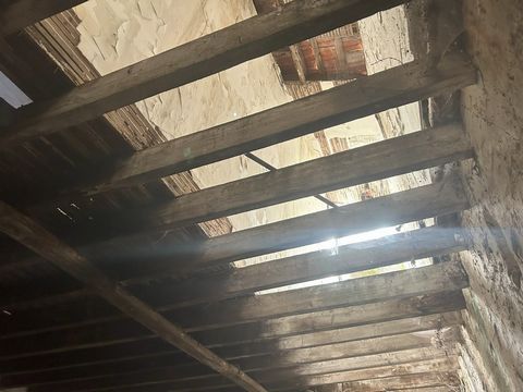 photo no. 14