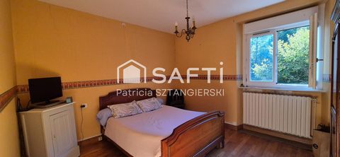 photo no. 16