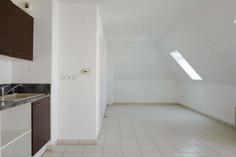 photo no. 2