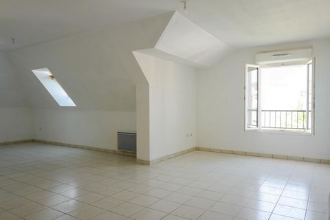 photo no. 5
