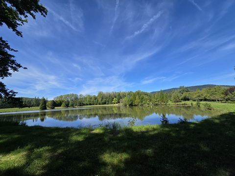 photo no. 19