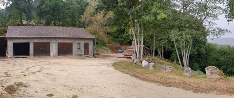 photo no. 14