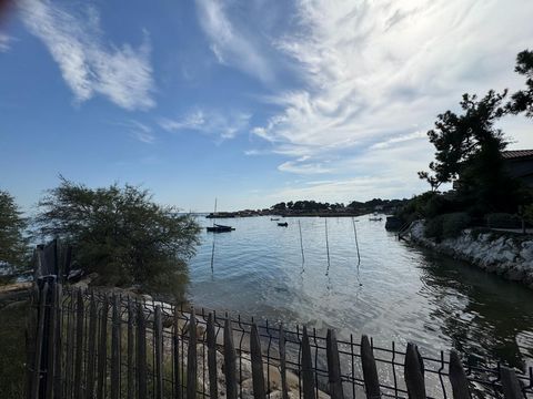 photo no. 10