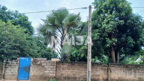 Sanyang is situated on the south bank of the Gambia and currently harbors a deep seaport. It's the biggest foreign attraction places in the region. This vast land is located on the main highway to the beach. It's fenced with fruit trees and has elect...