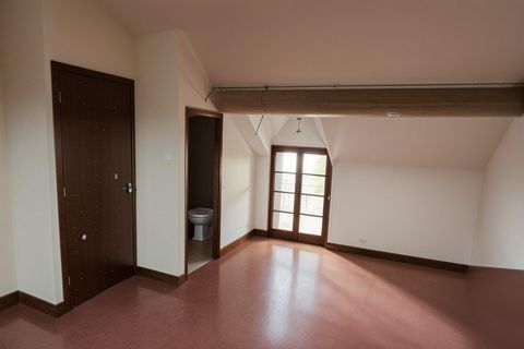 photo no. 8