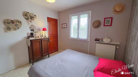 photo no. 9