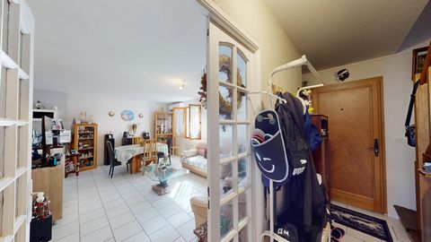 photo no. 6