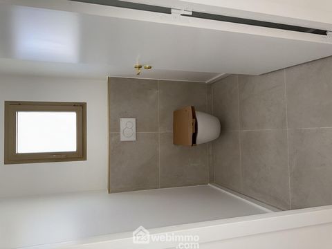 photo no. 11