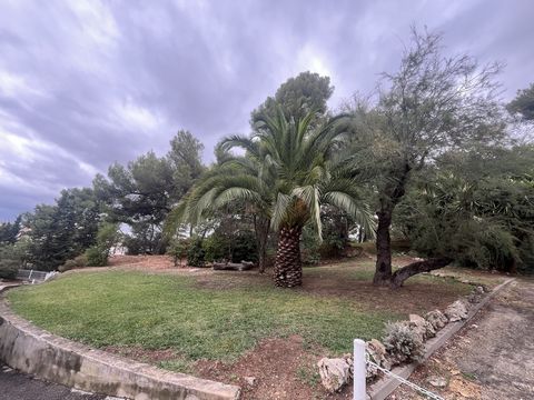 photo no. 12