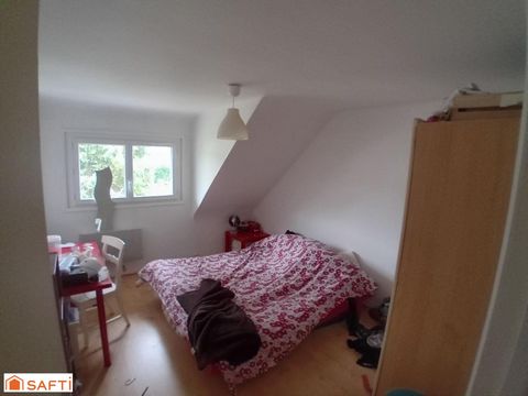 photo no. 11