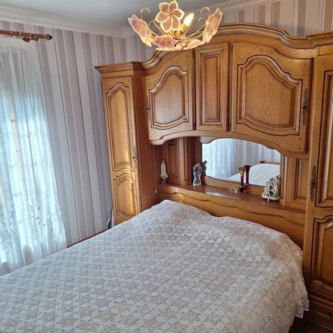 photo no. 6