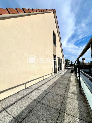 photo no. 12