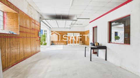 photo no. 15