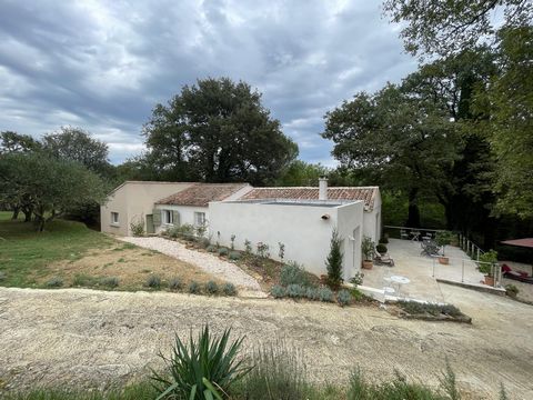 photo no. 17