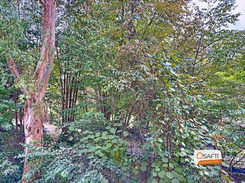 photo no. 9