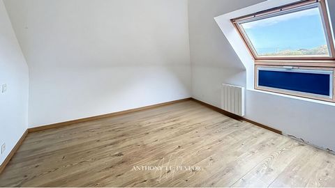 photo no. 11