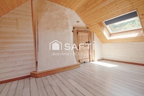 photo no. 6