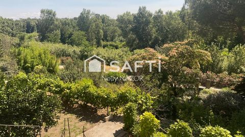 photo no. 13