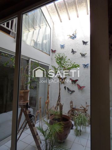 photo no. 14