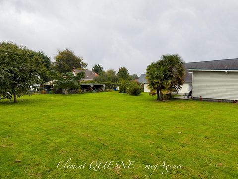 photo no. 14